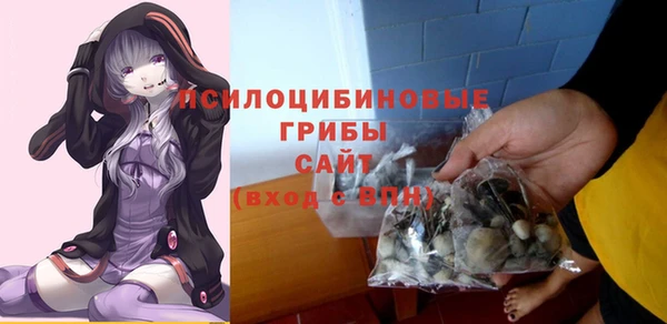 спиды Белокуриха