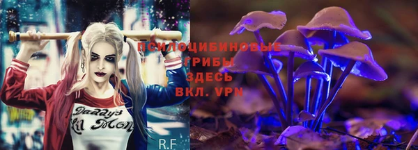 спиды Белокуриха