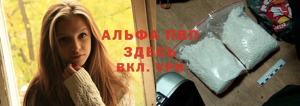 спиды Белокуриха