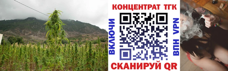 ТГК концентрат  Облучье 